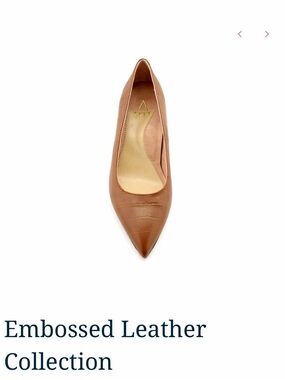 ALLY Embossed Leather Pointed Toe Pump - Tan